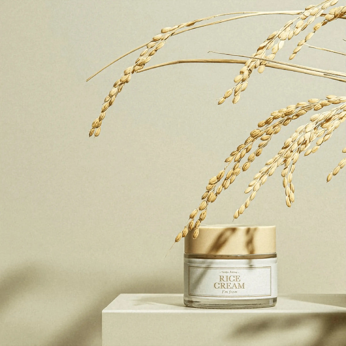 Korean Cosmetics Wholesale
